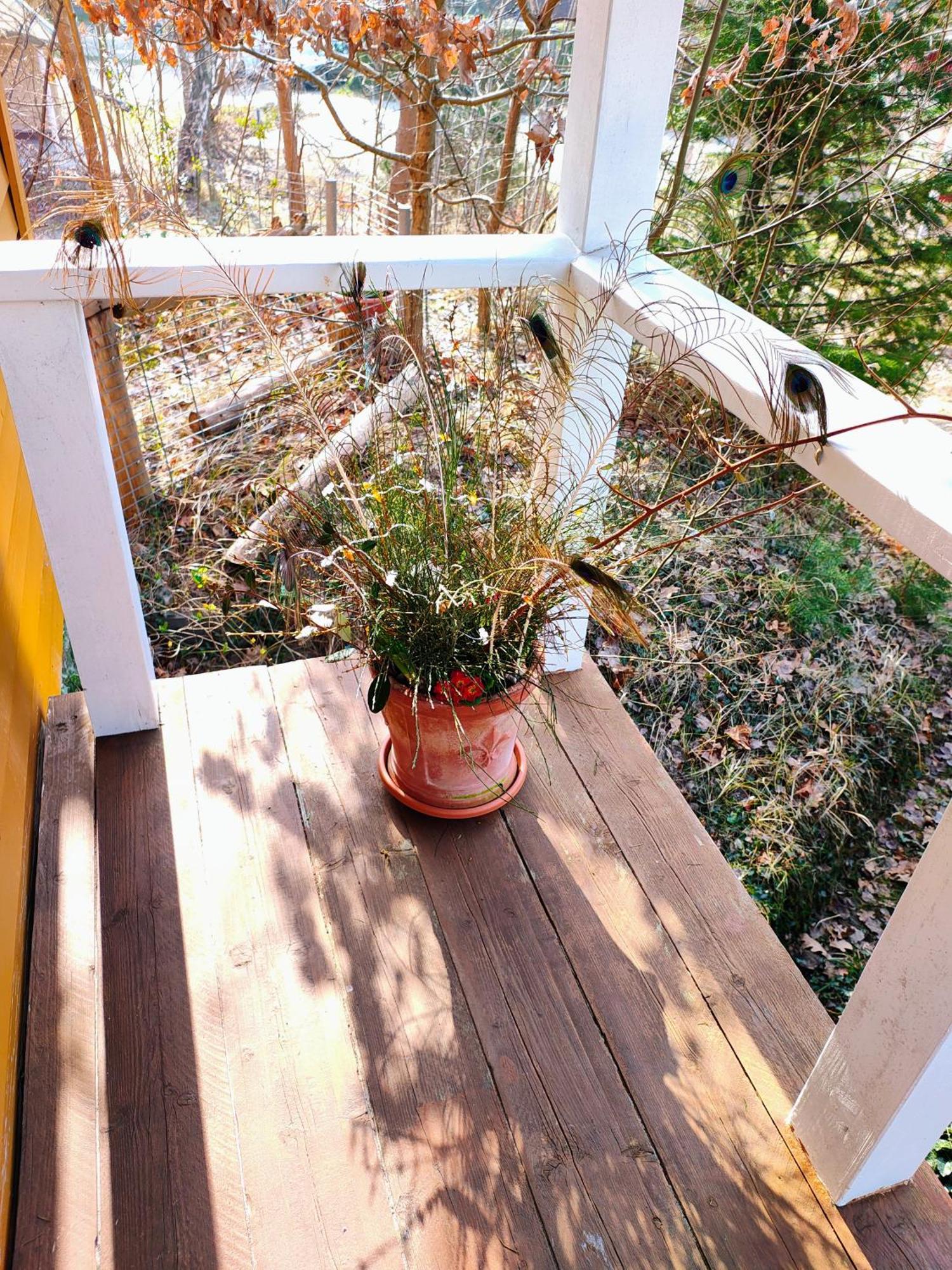 Zu Haus In Der Ferne Vila Baabe Exterior foto